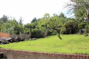 Photo 11- click for photo gallery